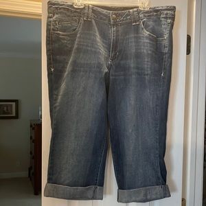 Lane Bryant NWT capris. Size 22.